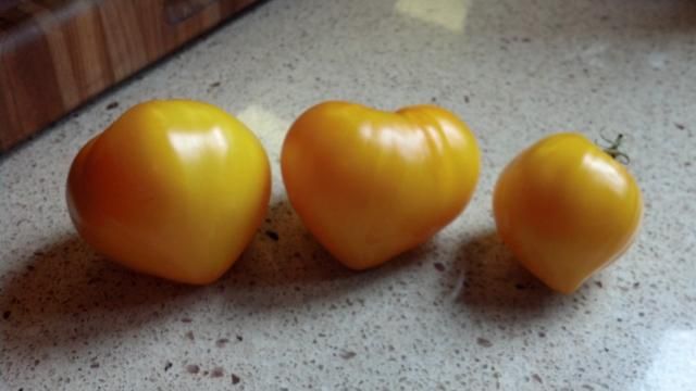  photo IMG_20140925_120923_507_zpsamybemod.jpg